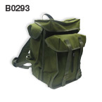 B0293