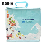 B0519