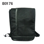 B0176