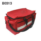 B0313