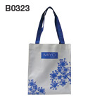 B0323