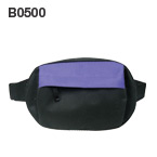 B0500