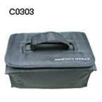 C0303