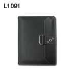 L1091